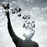 بعثـــرة profil fotoğrafı