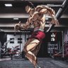 Thomas Barnhart's profile picture
