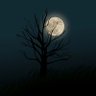 Mandrake's profile picture
