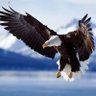 abdalluh makky profil fotoğrafı
