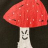 Amanita ๐ค๐ ็ๅคดๅ