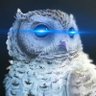 Superb Owl profil fotoğrafı