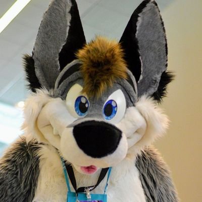 Duran__Wolf's profile picture
