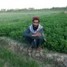Фото профиля Nasratullah Haqmal