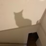 Фото профиля R/GIN