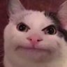 you cant see me's profile picture