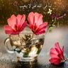 Фото профиля Abu Fahad