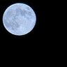 🌜bluemoonrambler🌛's profile picture