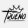Фото профиля Trueno Gaming