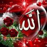 Nahla Abutaleb's profile picture