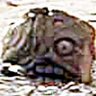 Ex-Rifleman's profile picture