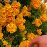 بسام's profile picture