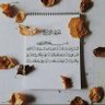 Esraa salah profil fotoğrafı