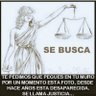Ana Ciamarra's profile picture
