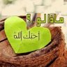 Mohammad Bayoumi Ahmad's profile picture
