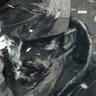 Liquid_Vik 的头像