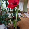 Фото профиля Elke