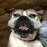 Randy's profile picture