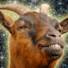 Profilbild von Tom Heraud