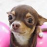 のん's profile picture