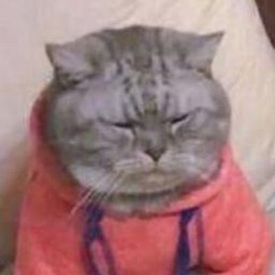 玉米豆花's profile picture