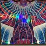 Фото профиля 🇺🇦Slinky Thoughts🇺🇦