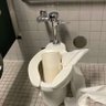 Profilbild von TTR toilet
