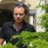 Mahmut KINIKLI's profile picture