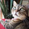 みゆ profil fotoğrafı