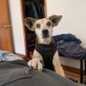 omar profil fotoğrafı