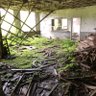 ruinas 的头像