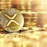 encogkneetoe.crypto's profile picture