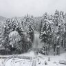 TLi profil fotoğrafı