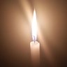 JAPN's profile picture