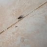 Ridhoi profil fotoğrafı