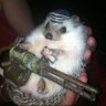 BlazeSmith's profile picture