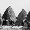 Фото профиля BCF_BJL Zambia...