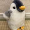トミー's profile picture