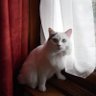 ClaB profil fotoğrafı