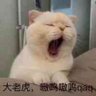 吾是人 profil fotoğrafı