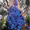 بسمة أمل🦋's profile picture