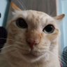 Profilbild von lady
