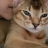 Lavie profil fotoğrafı