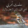 Umar Salih's profile picture