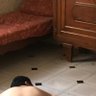 zrryk's profile picture