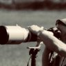 Sporting Images's profile picture