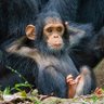 Фото профиля Níkyas de Moraes Sarmento