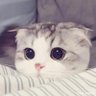唐泽's profile picture
