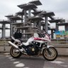 tatsubockri(たつぼっくり)'s profile picture