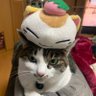 mAo_APEX's profile picture
